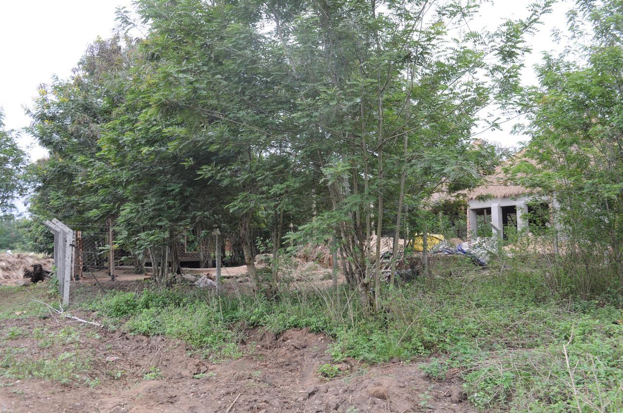 Irungu Forest Safari Lodge Katunguru Buitenkant foto