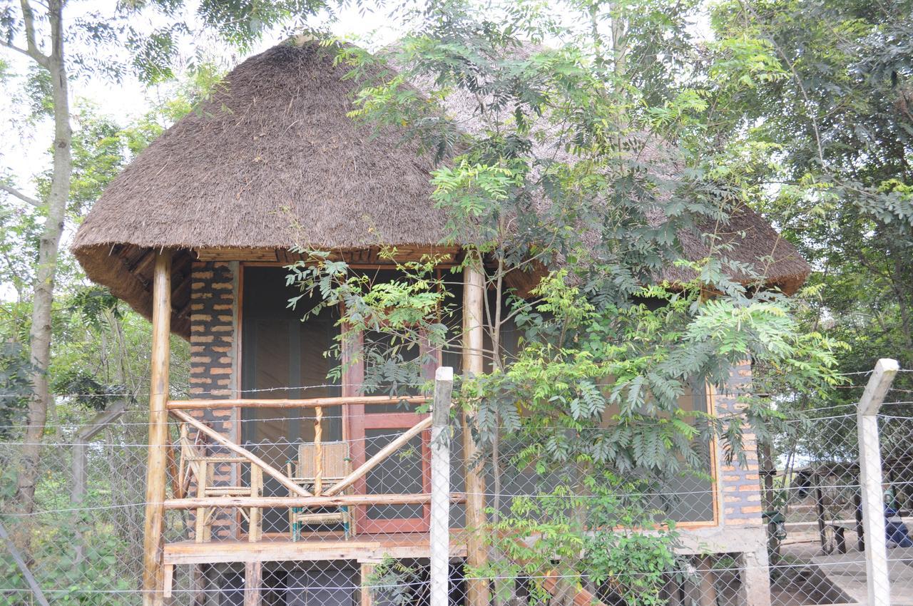 Irungu Forest Safari Lodge Katunguru Buitenkant foto