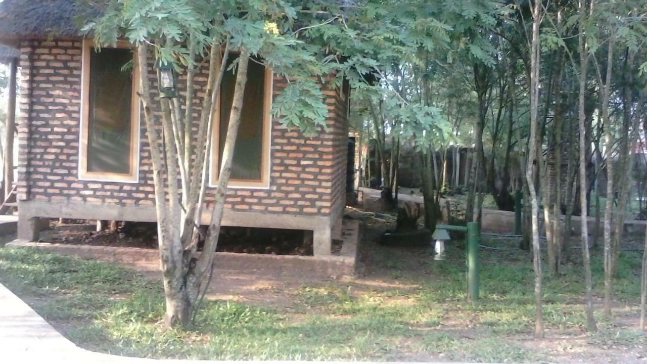 Irungu Forest Safari Lodge Katunguru Buitenkant foto