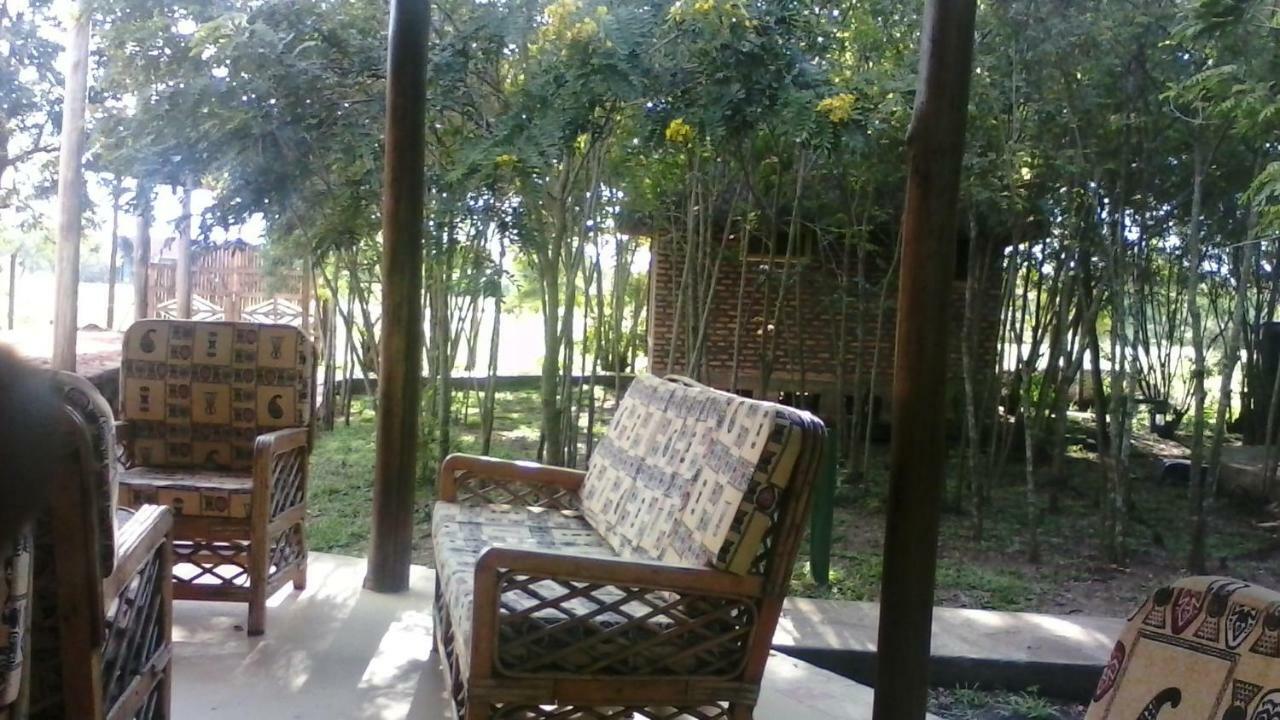 Irungu Forest Safari Lodge Katunguru Buitenkant foto