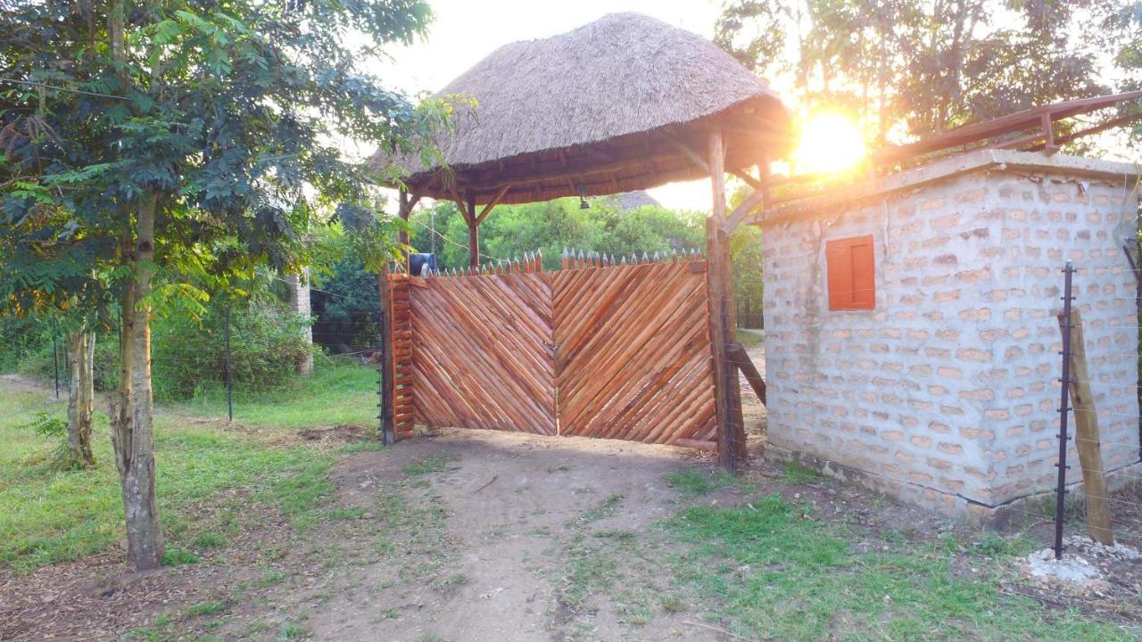 Irungu Forest Safari Lodge Katunguru Buitenkant foto