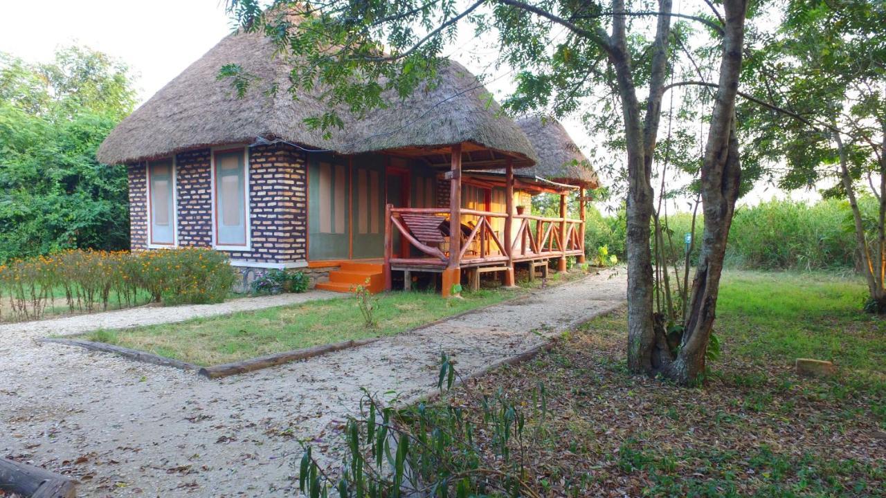 Irungu Forest Safari Lodge Katunguru Buitenkant foto